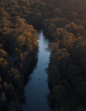 This fairytale walk is hiding in Sydney’s north