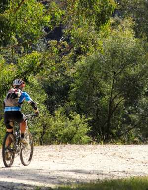 Mountain biker, Devines Hill, Dharug National Park