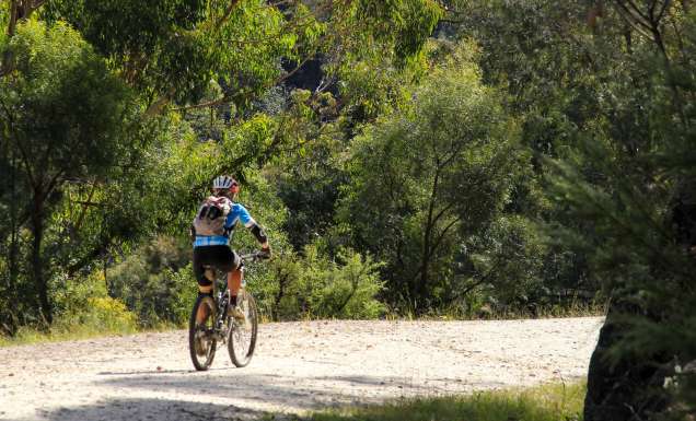 Mountain biker, Devines Hill, Dharug National Park
