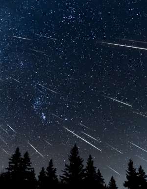 A composite photo created by combing 44 phots that have been oriented to match the star position and show how meteor showers originate from the same point relative to the stars. These meteors were part of the Geminids meteor shower. The midground is an evergreen forest as a silhouette.