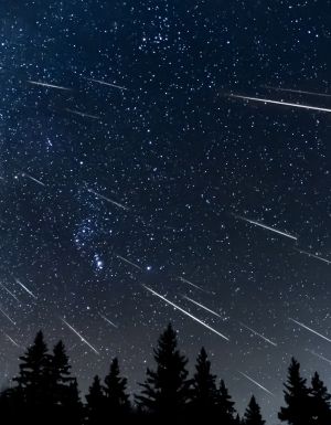 A composite photo created by combing 44 phots that have been oriented to match the star position and show how meteor showers originate from the same point relative to the stars. These meteors were part of the Geminids meteor shower. The midground is an evergreen forest as a silhouette.