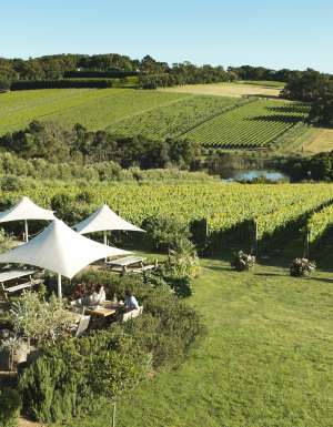 Mornington Peninsula