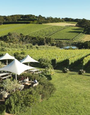 Mornington Peninsula