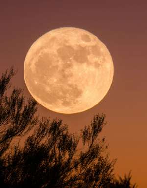 Supermoon/Harvest Moon Australia