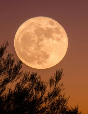 Supermoon/Harvest Moon Australia