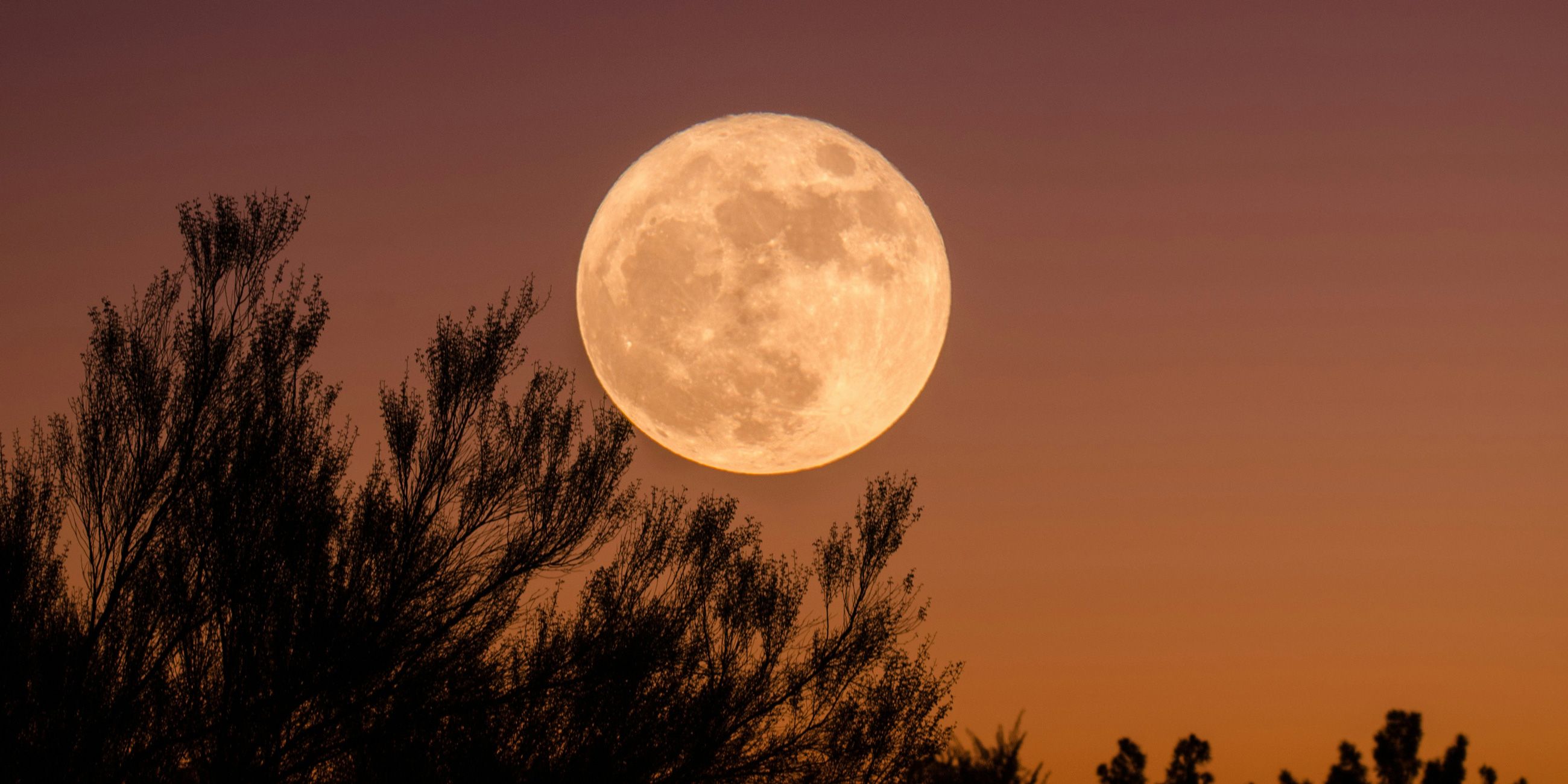 Tonight's supermoon is just the start of an epic celestial line-up ...