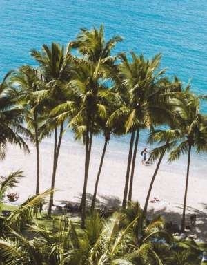 Catseye Beach on Hamilton Island