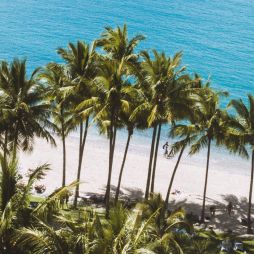 Catseye Beach on Hamilton Island