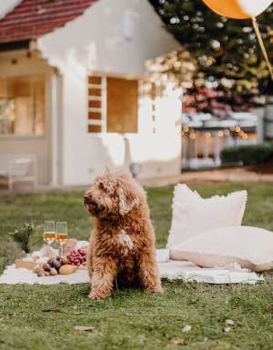 Hazelhurst Arts Centre, Hazel Kitchen & Bar has curated the ultimate picnic experience