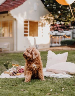 Hazelhurst Arts Centre, Hazel Kitchen & Bar has curated the ultimate picnic experience