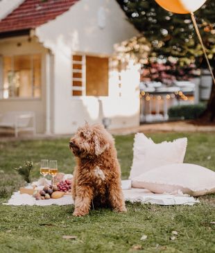 <p>The ultimate <i>new summer guide</i> for the <strong>Sutherland Shire</strong></p>