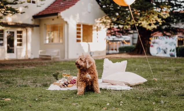 Hazelhurst Arts Centre, Hazel Kitchen & Bar has curated the ultimate picnic experience