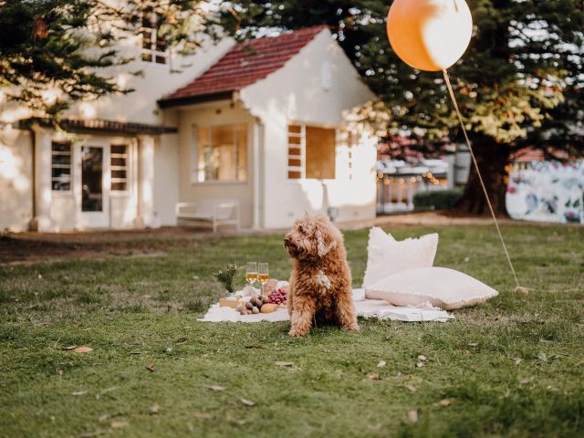 Hazelhurst Arts Centre, Hazel Kitchen & Bar has curated the ultimate picnic experience