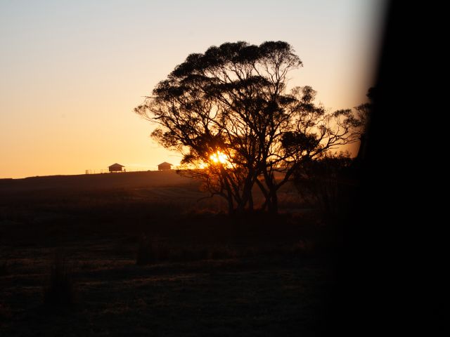 sunset over Monarto Wild Africa precinct