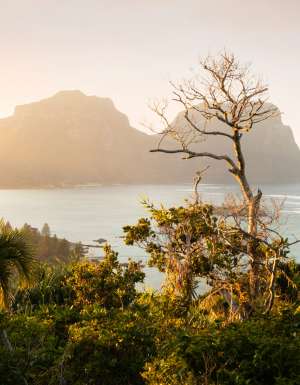 Mt Lidgbird and Mt Gower, Lord Howe Island