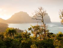 Mt Lidgbird and Mt Gower, Lord Howe Island