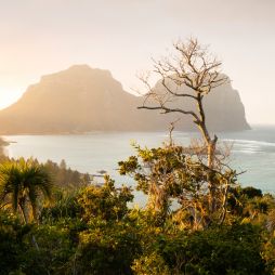 Mt Lidgbird and Mt Gower, Lord Howe Island