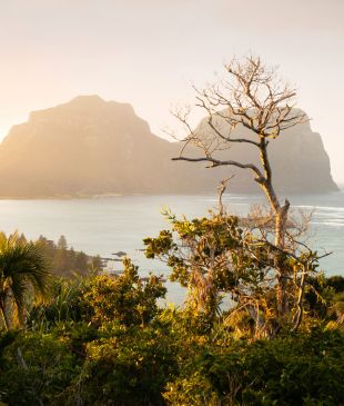 <p>Inside a stay at <em>Island House</em>, <strong>Lord Howe’s</strong> most luxurious eco-retreat</p>