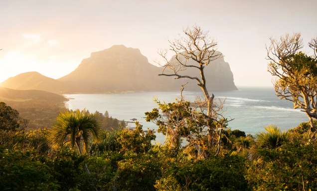 Mt Lidgbird and Mt Gower, Lord Howe Island
