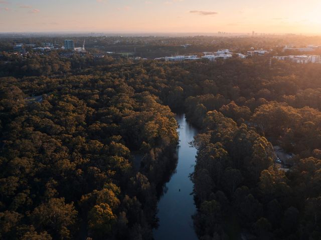 Lane Cove National Park in Sydney, NSW
