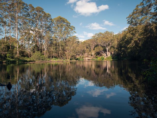 Lane Cove National Park in Sydney, NSW