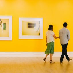 couple admiring the art at Murray Art Gallery