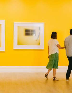 couple admiring the art at Murray Art Gallery