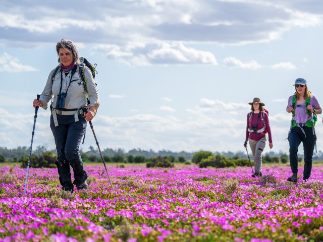 great walks of australia tour group on