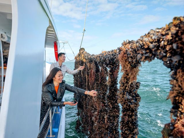 inspecting bivalve bounty from the ropes