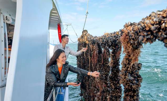 inspecting bivalve bounty from the ropes