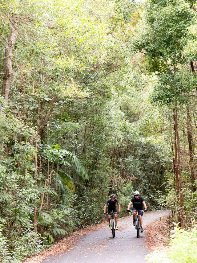 Northern Rivers Rail, The Tweed