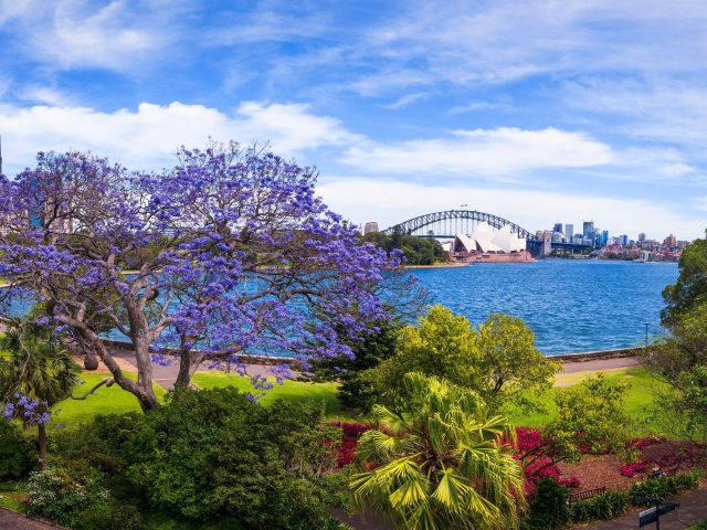 view of circular quay from Sydney's Royal Botanic Garden