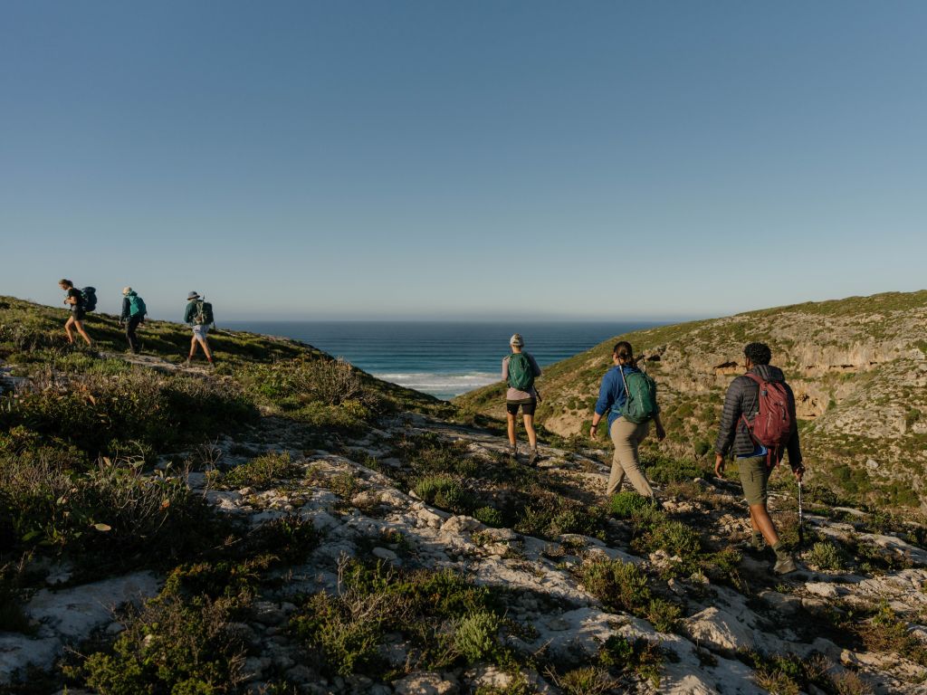 Tasmanian Walking Company Kangaroo Island Signature Walk Day 2 Maupertuis Bay Beach Cliff