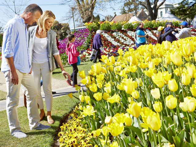 Bowral tulip festival