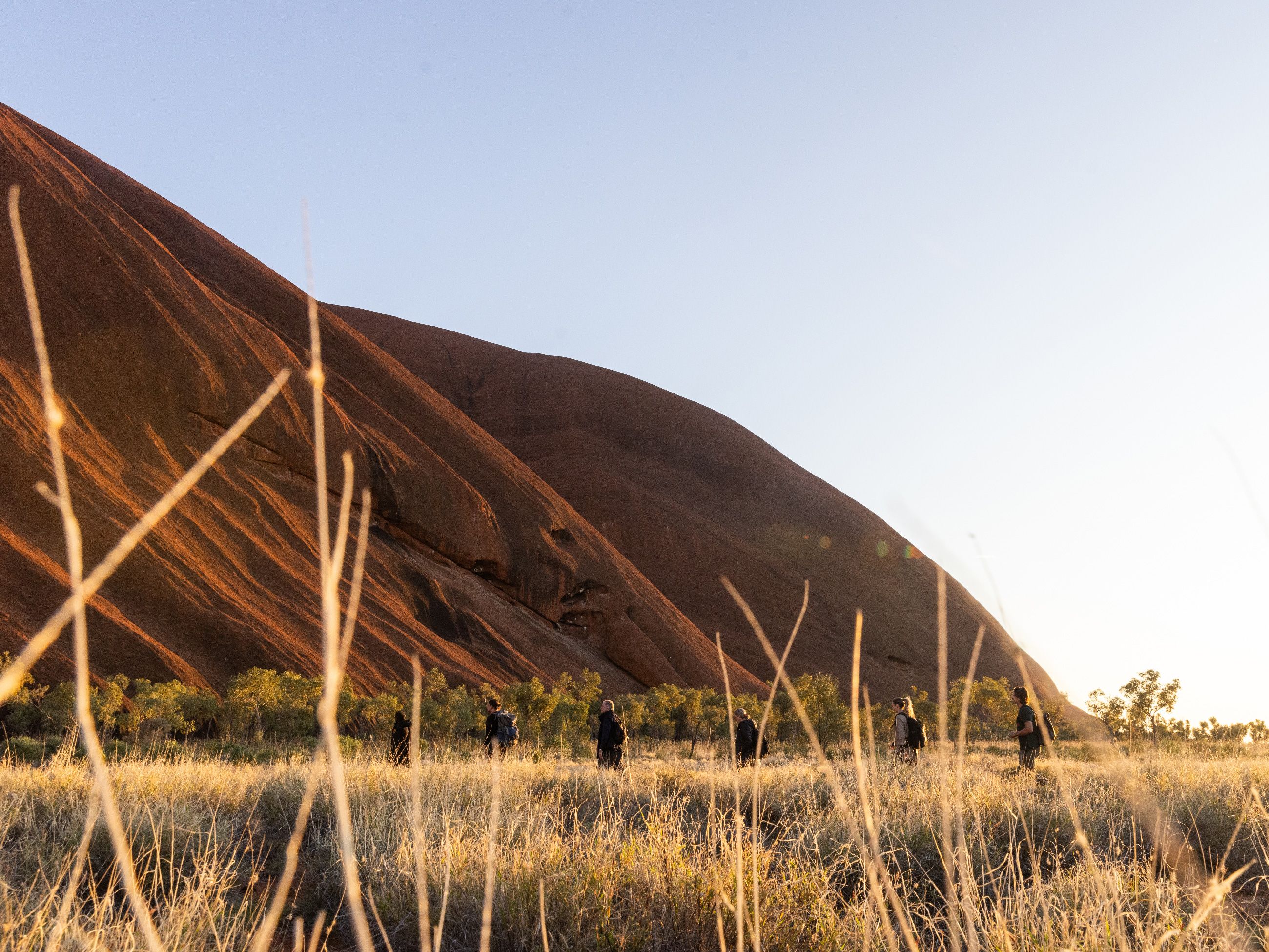 Tasmanian Walking Company Uluṟu Kata Tjuṯa Signature Walk