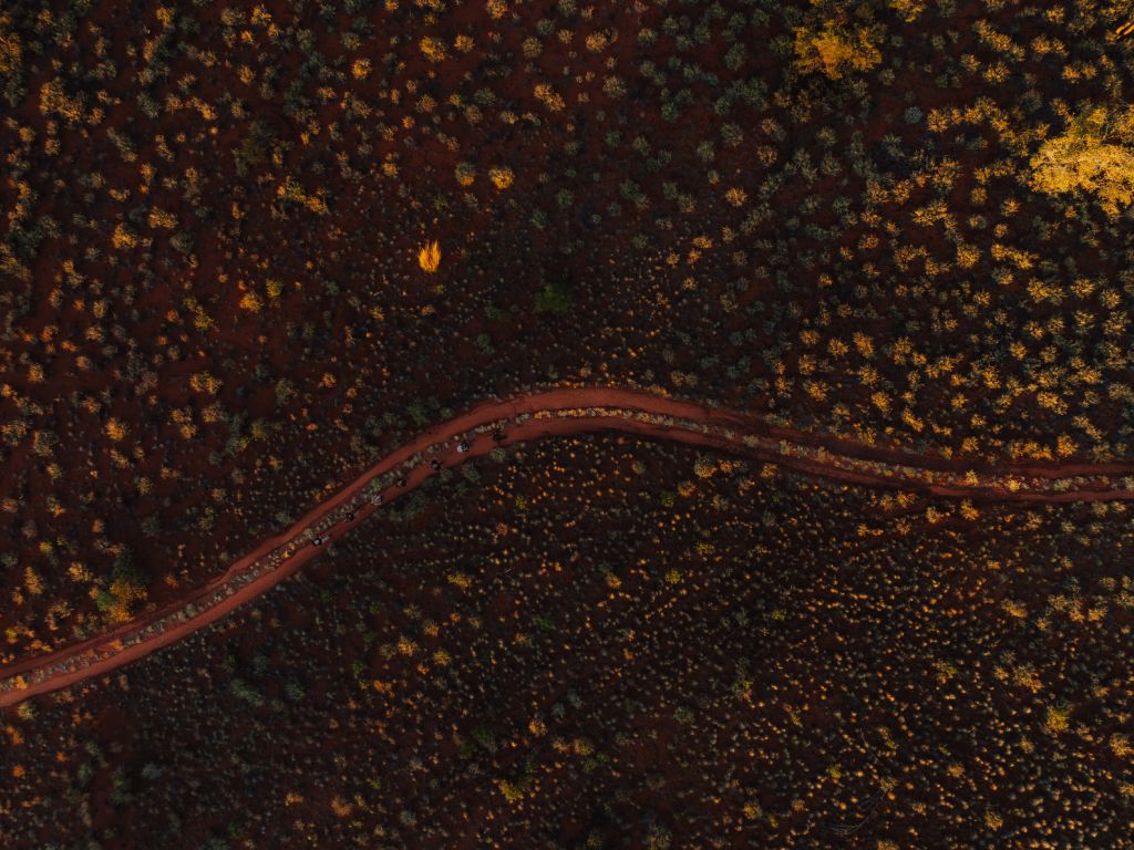 Tasmanian Walking Company Uluṟu Kata Tjuṯa Signature Walk