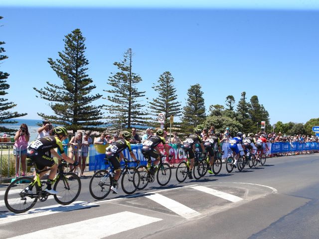 cyclists during the Cadel Evans Great Ocean Road Race