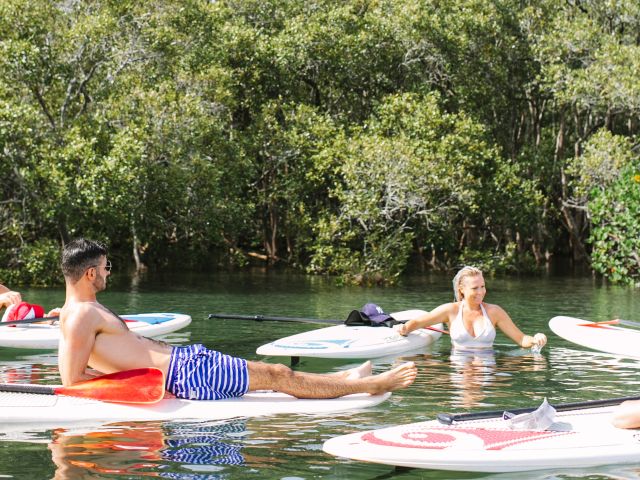 Waterguru Mindfulness in the Mangroves summer on the tweed