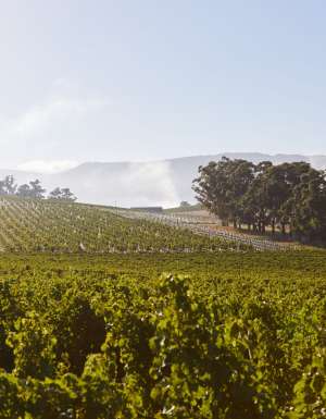 This region offers the perfect mid-week reset an hour from Melbourne