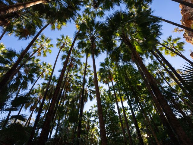 The Zebedee Springs, El Questro