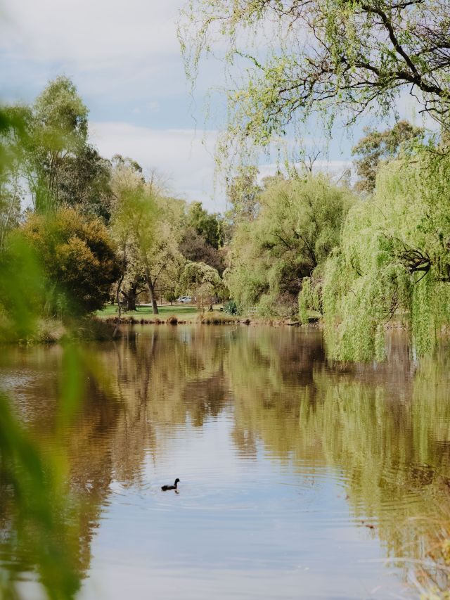 a scenic river in Castlemaine