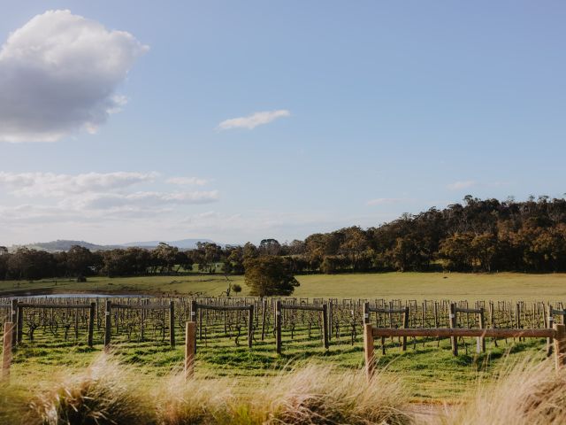 the vineyard at Kyneton Ridge Estate Winery
