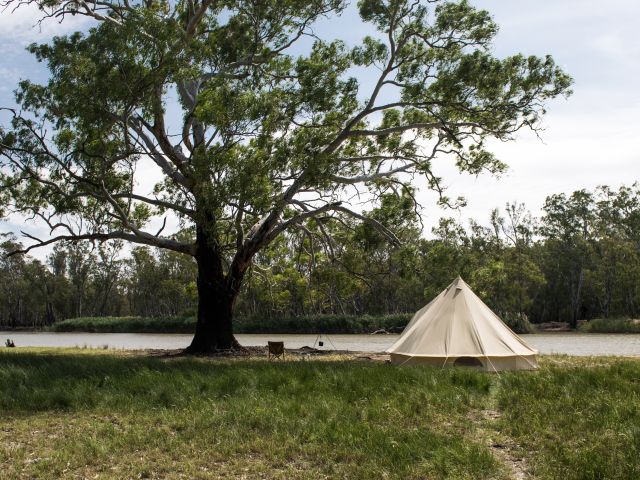 Barmah National Park
