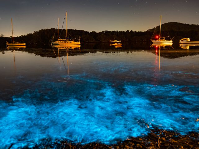 ocean water glows at night