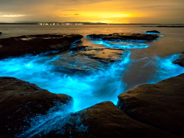 bright blue waters caused by bioluminescence