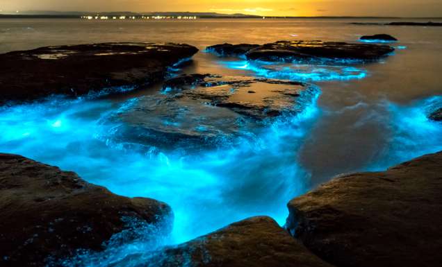 bright blue waters caused by bioluminescence