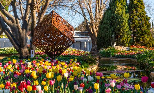 Tulips blooming in front of a sculpture