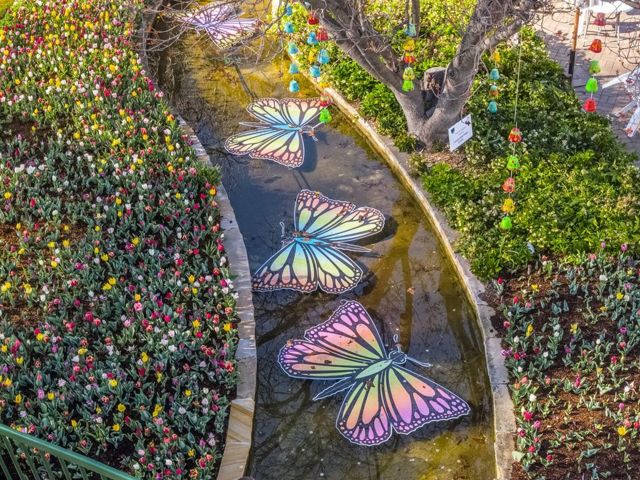 A pond with colourful butterfly sculptures in it surrounded by tulips