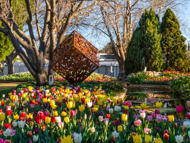 Tulips blooming in front of a sculpture