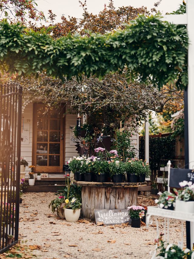 Miss NorthcottsGarden